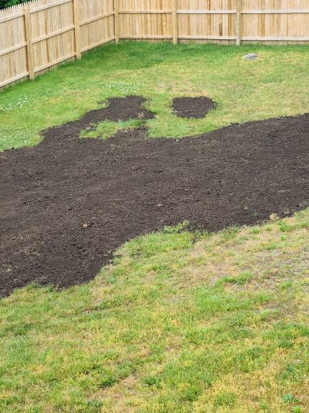 JC Mini Excavating