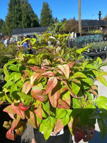 Enviropro Landscaping