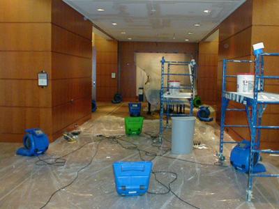 Ecodry Wheaton