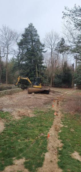 Digworx Services Inc.