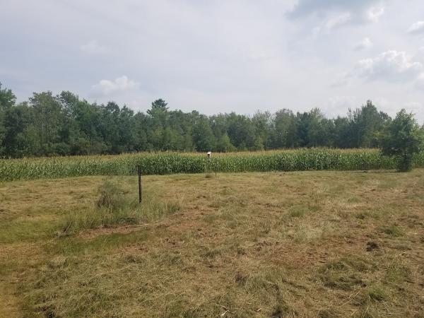 Nemec Excavation
