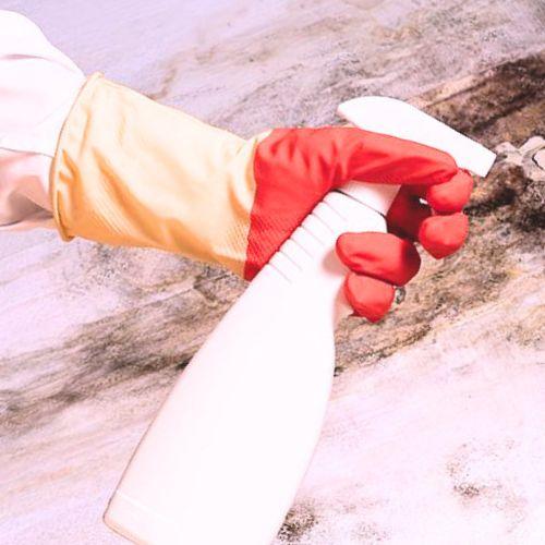 Synka Mold Remediation
