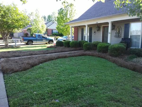 Dependable Lawn and Tree Service