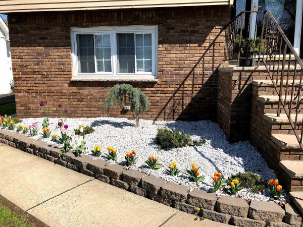 Moe's Landscaping & Design