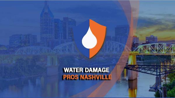 Water Damage Pros Nashville