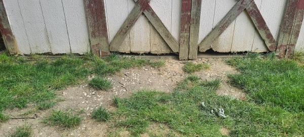 Great Lakes Leveling LLC