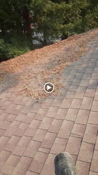 Multi-Serve Exterior Cleaning Services
