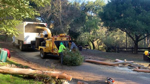 Arbortech Inc.