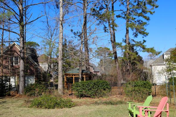 A New Leaf Tree Service