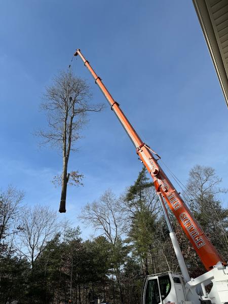 Newcomb's Tree Service