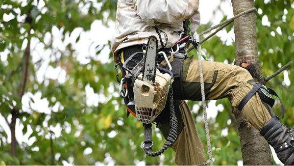 Tru Pro Tree Service