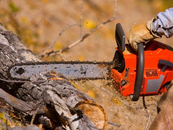Tru Pro Tree Service