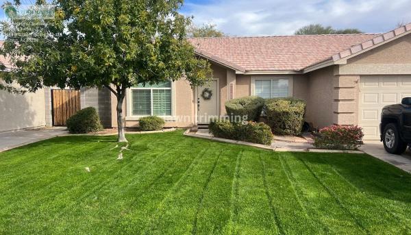 Phoenix Pro Landscaping