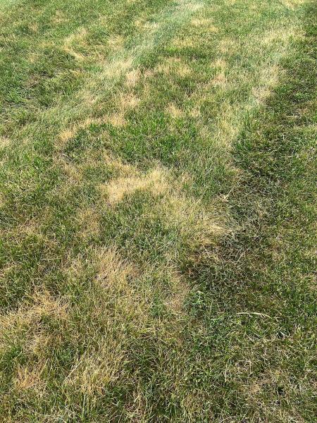 A+ Lawn & Landscape