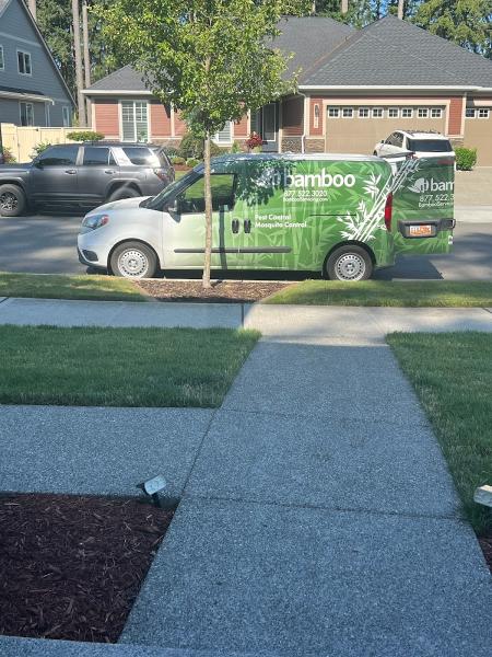 Bamboo Pest Control Servicing