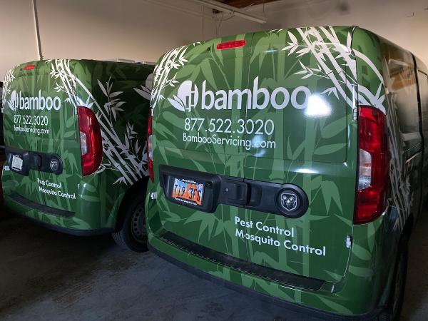 Bamboo Pest Control Servicing