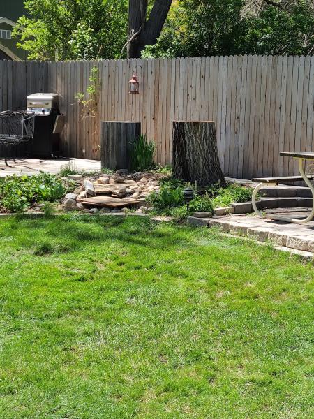 Menjivar Tree Services