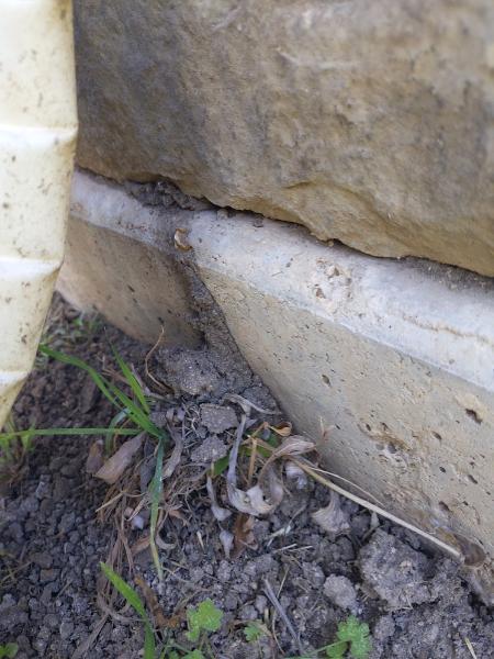 Triumph Pest Control