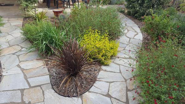 Machado Landscape & Maintenance
