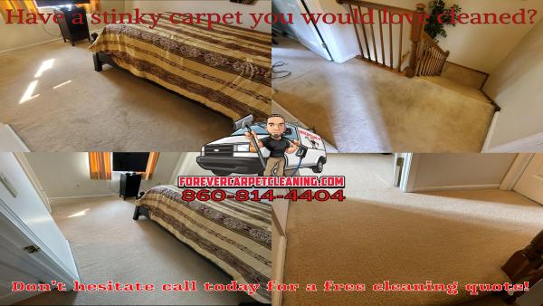 Forever Carpet Cleaning