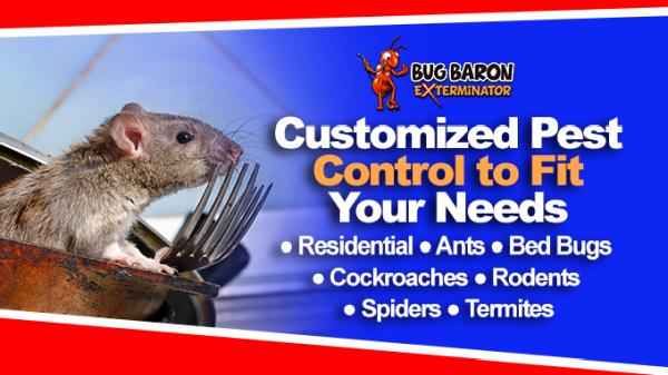 Bug Baron Exterminator