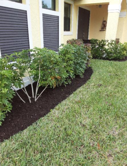 Super Mario Lawn Service