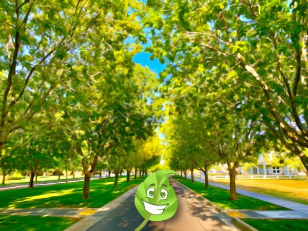 Gilbert Tree Care Service