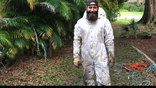Sarasota Bee Removal Inc