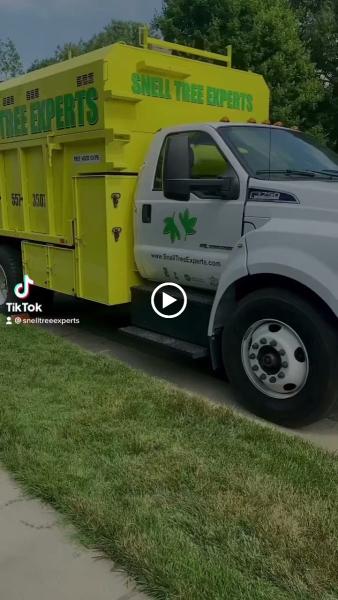 Snell Tree Experts LLC