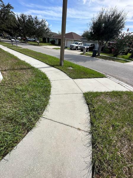 Amerivet Pressure Washing
