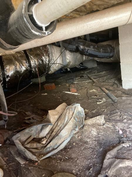 Crawlspace Concepts