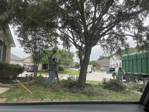 The J Team Tree Service