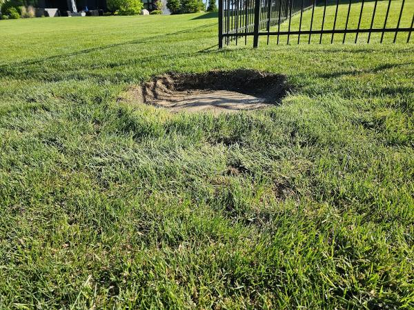 Progrind Stump Removal LLC