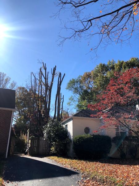 JMC Tree Service LLC