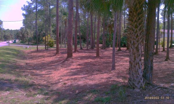 Eco Mulching Services