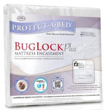 Bed Bug Exterminator NYC