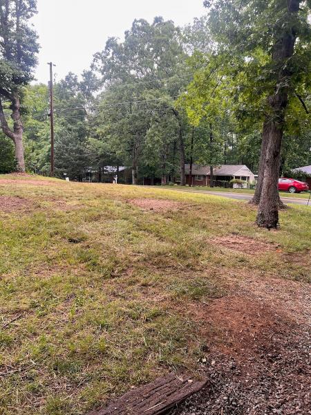Vasquez Tree Service NC