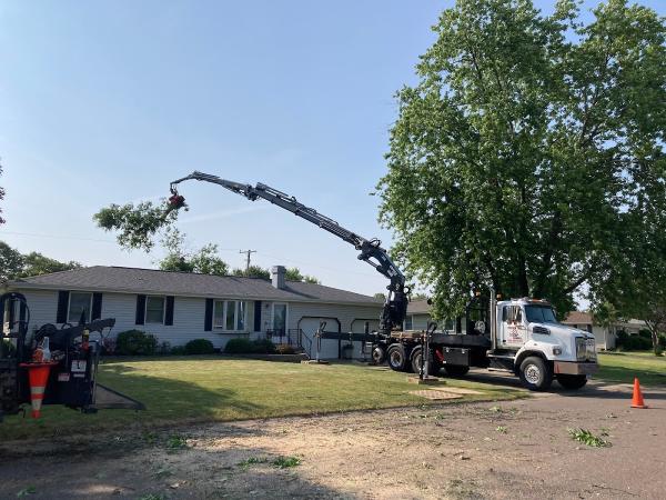 Fischer Tree & Stump Removal