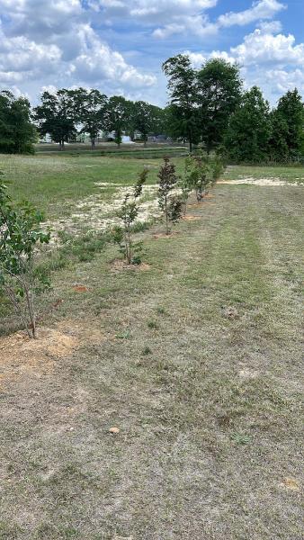 Rafael Lawn Care Llc