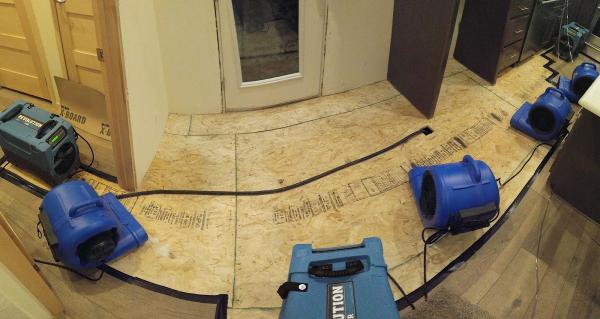Drytime Restoration