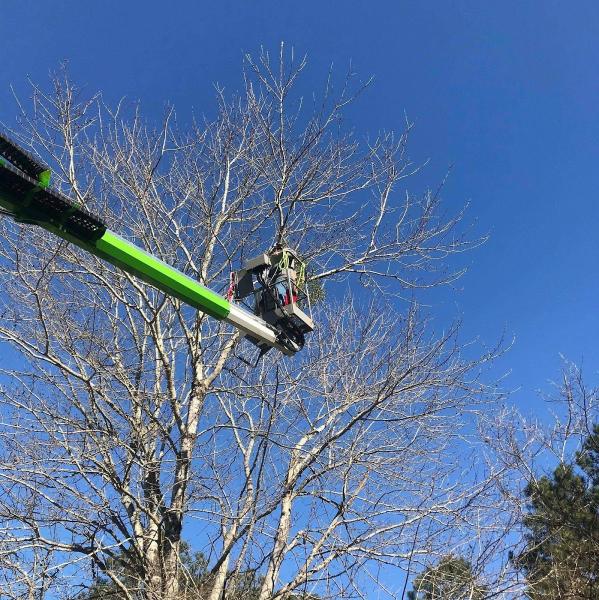Arbor Tech Tree Service