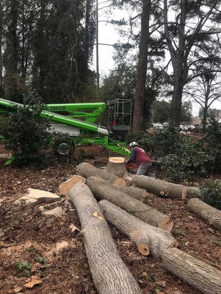 Arbor Tech Tree Service