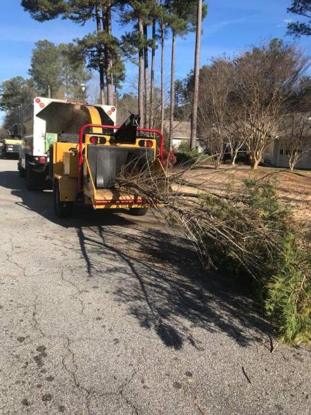 Arbor Tech Tree Service