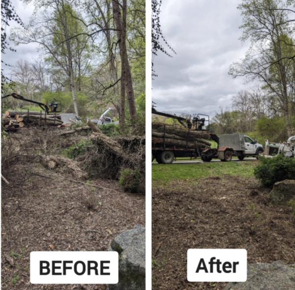 Tree-Rific Tree Service