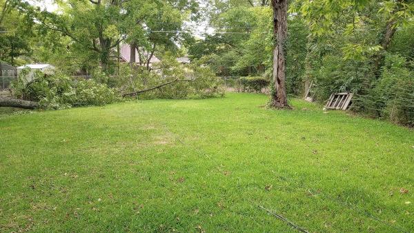 Easy Tree Service
