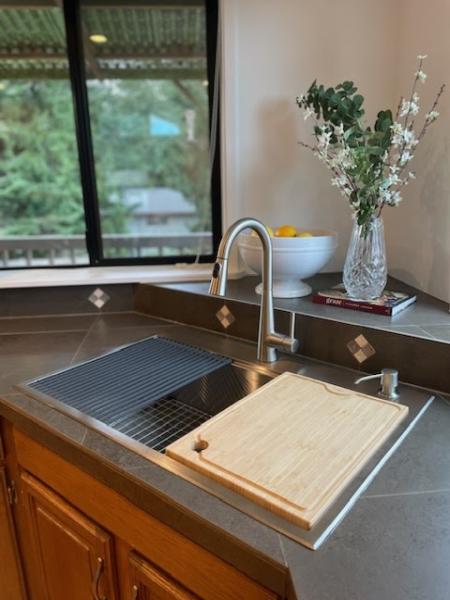Rogue Plumbing