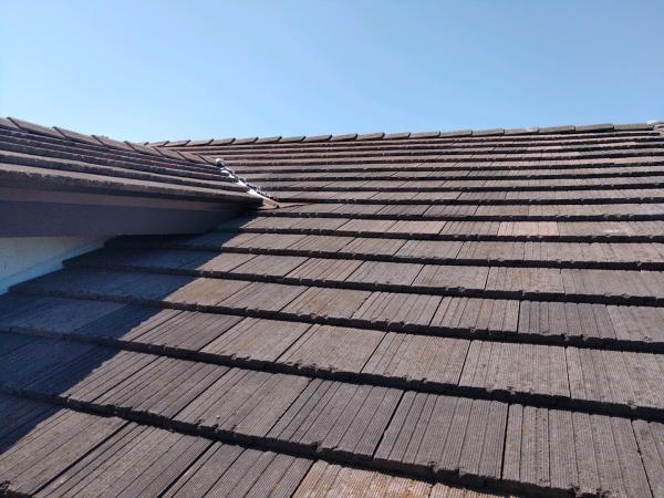 Dils Roofing & Solar