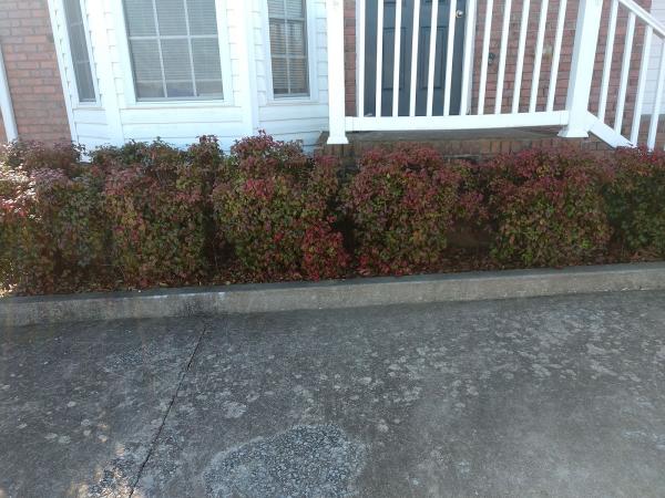 All Things Lawn Care and Landscaping