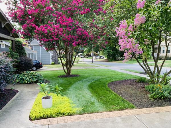 Clean Cut Landscaping