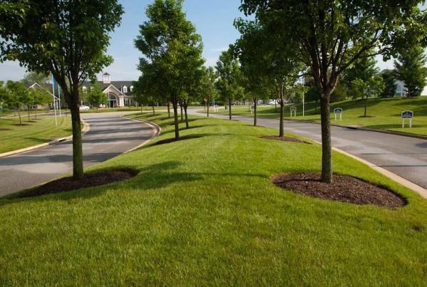 Clean Cut Landscaping